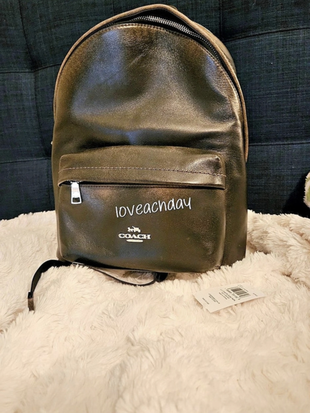 COACH✨️Loved Leather Taylor Backpack - NWT